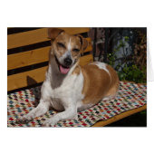 Relaxing Dog Wenskaart (Voorkant Horizontaal)