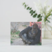 Relaxing Gorilla Briefkaart (Staand voorkant)