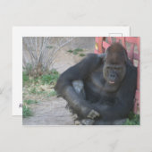 Relaxing Gorilla Briefkaart (Voorkant / Achterkant)