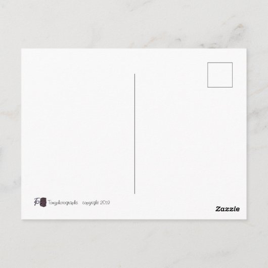 Relaxing Gorilla Briefkaart (Achterkant)