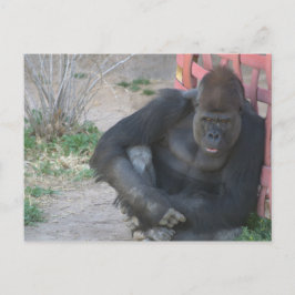 Relaxing Gorilla Briefkaart