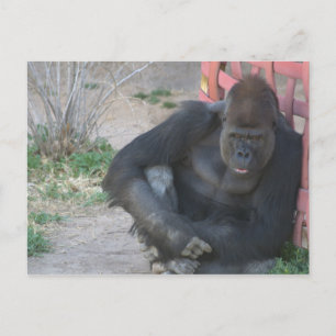 Relaxing Gorilla Briefkaart