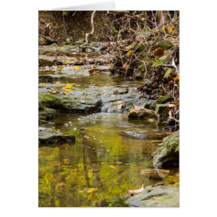 Relaxing in noord Wears