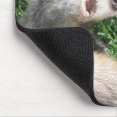 Relaxing Muismat (Hoek)