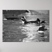 Relaxing Poster (Voorkant)