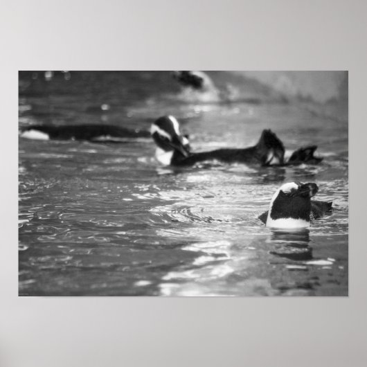 Relaxing Poster (Voorkant)