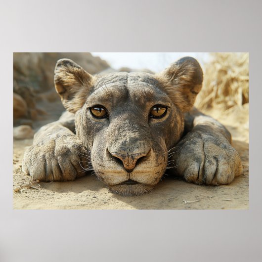 Relaxing Poster (Voorkant)