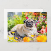 Relaxing Pug Chilling in Garden Space Briefkaart (Voorkant / Achterkant)