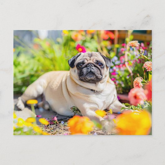 Relaxing Pug Chilling in Garden Space Briefkaart (Voorkant)