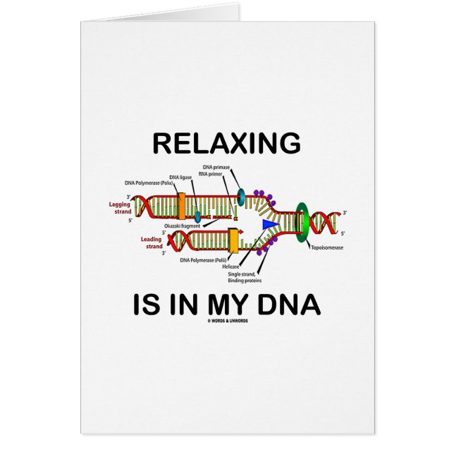 Relaxing zit in mijn DNA (DNA-replicatie) (Voorkant)
