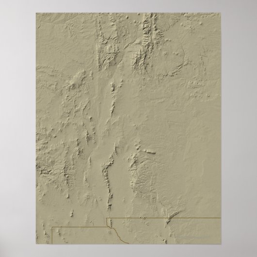 Relief Map van New Mexico Poster (Voorkant)