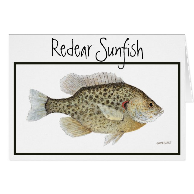 Relieve Sunfish card (Voorkant Horizontaal)