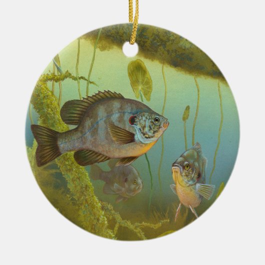 Relieve Sunfish Lepomis Microlophus Timothy Knepp Keramisch Ornament (Voorkant)