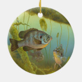 Relieve Sunfish Lepomis Microlophus Timothy Knepp Keramisch Ornament (Achterkant)