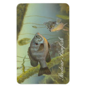 Relieve Sunfish Painting Magnet Magneet (Verticaal)