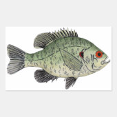 Relieve Sunfish Rechthoekige Sticker (Voorkant)