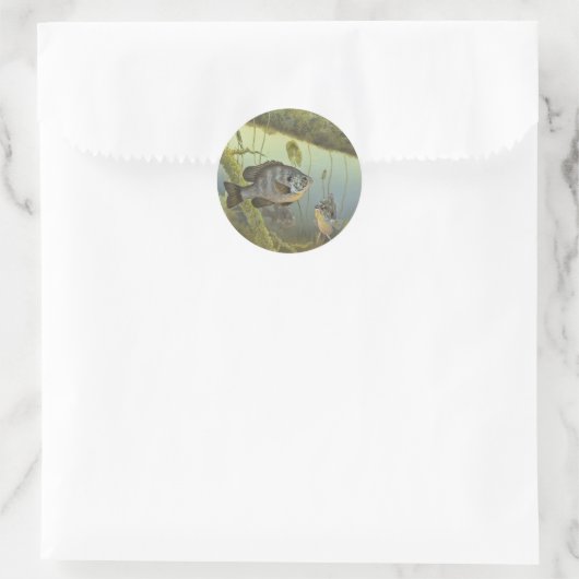 Relieve Sunfish Ronde Sticker (Tas)