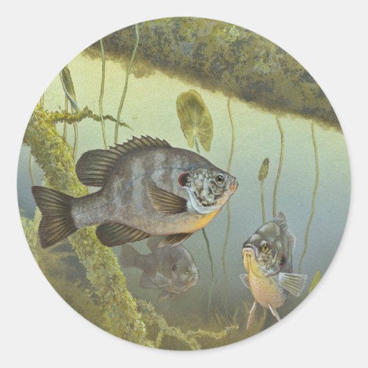 Relieve Sunfish Ronde Sticker (Voorkant)