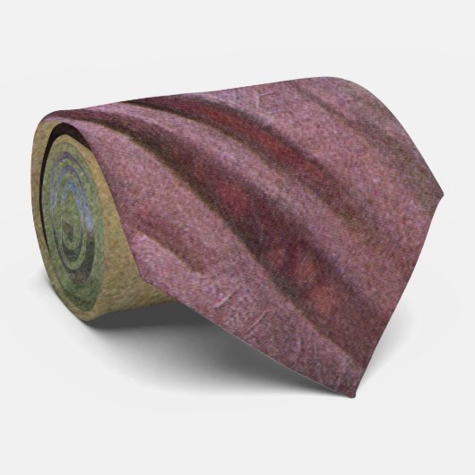  religie, Jezus Christus portret met Halo Stropdas (Opgerold)