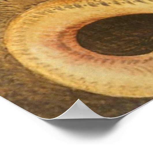  religie, Saint Michael Defeats Lucifer Poster (Hoek)