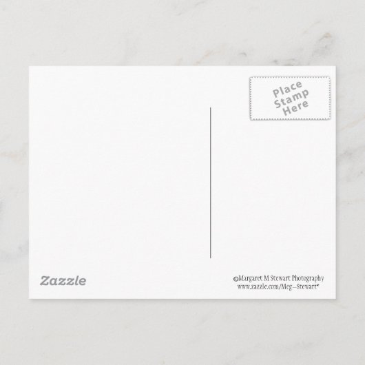 Religieus Afstuderen Aankondigingskaart (Achterkant)