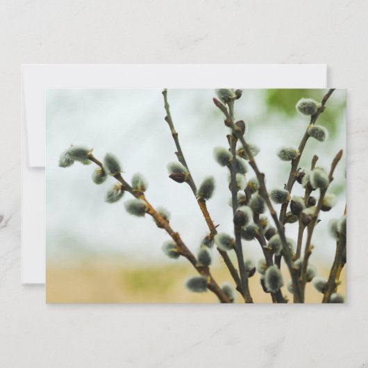Religieuze Paas Kaart met Poesje Willow Branches (Voorkant)