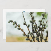 Religieuze Paas Kaart met Poesje Willow Branches (Voorkant / Achterkant)