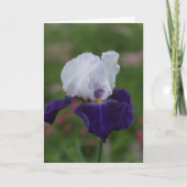 Religieuze verjaardagskaarten — Paarse iris Kaart (Voorkant)