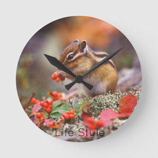 Reloj de pared Chipmunk Ronde Klok (Voorkant)