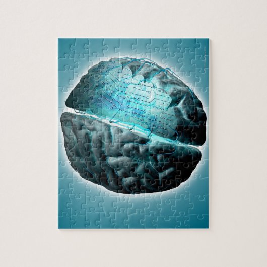 Rem 2 van het circuit legpuzzel (Verticaal)