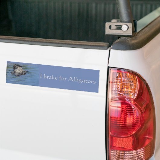 Rem van de Bumpersticker voor Alligators (Op Truck)