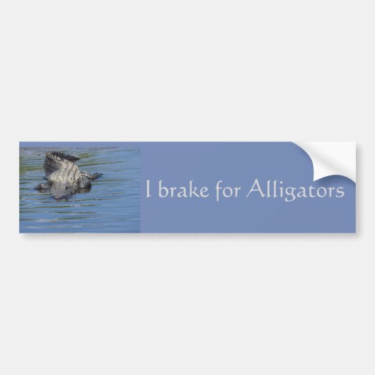 Rem van de Bumpersticker voor Alligators (Voorkant)