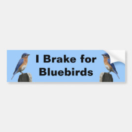 Rem voor Bluebird 2 Bumpersticker