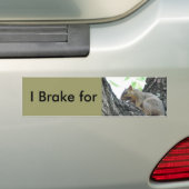 Rem voor eekhoorntjesBumpersticker Bumpersticker (Op auto)