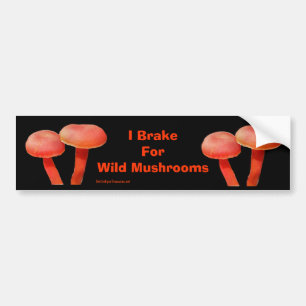 Rem voor paddenstoelen Funny Natuur Bumpersticker