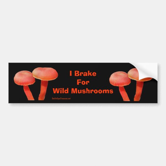 Rem voor paddenstoelen Funny Natuur Bumpersticker (Voorkant)