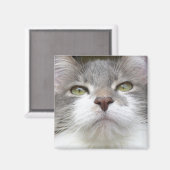 Rema magneet 003 (Voorkant / Achterkant)