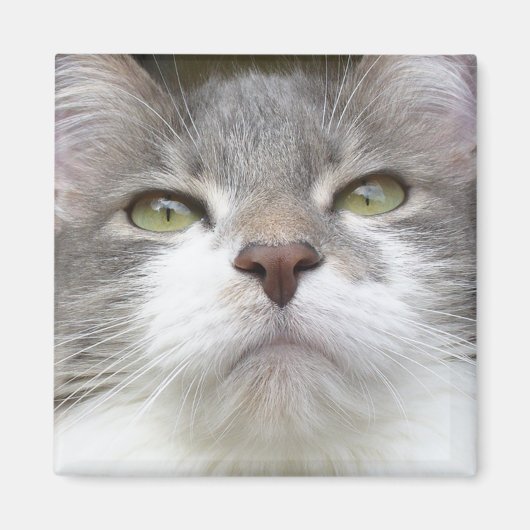 Rema magneet 003 (Voorkant)