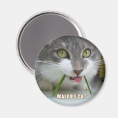 Rema magneet 011 (Voorkant / Achterkant)