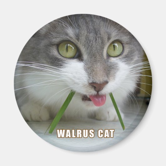 Rema magneet 011 (Voorkant)