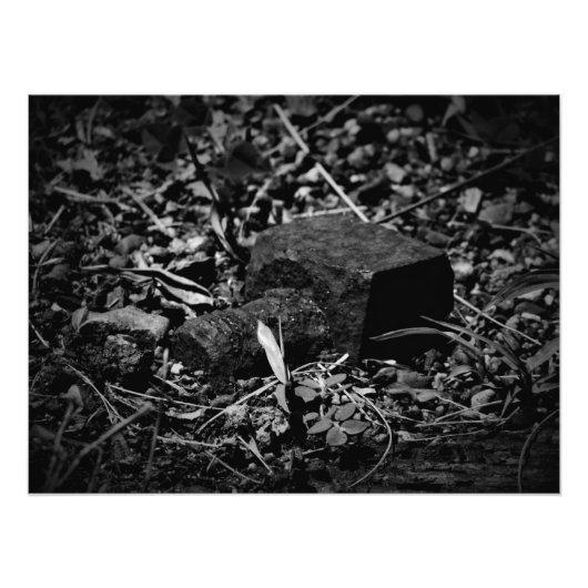 "Remanence of Bywent Days" Foto Afdruk (Voorkant)