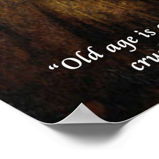 Rembrandt "De joodse bruid" en beroemd Poster voor (Hoek)