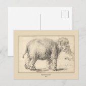Rembrandt, een olifant, 1637, Fine Art Briefkaart (Voorkant / Achterkant)