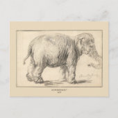 Rembrandt, een olifant, 1637, Fine Art Briefkaart (Voorkant)