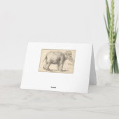Rembrandt, een olifant, 1637, Fine Art Kaart (Achterkant)