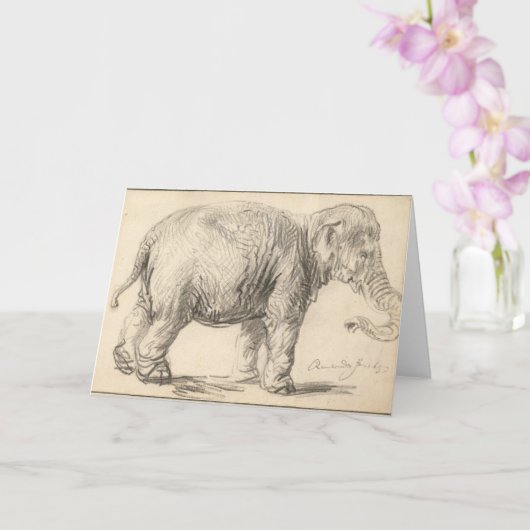 Rembrandt, een olifant, 1637, Fine Art Kaart (Orchidee)