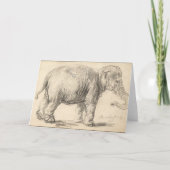 Rembrandt, een olifant, 1637, Fine Art Kaart (Voorkant)