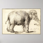 Rembrandt - Elephant 1637 Poster (Voorkant)