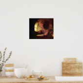 Rembrandt Harmenszoon van Rijn - De filosoof Poster (Keuken)