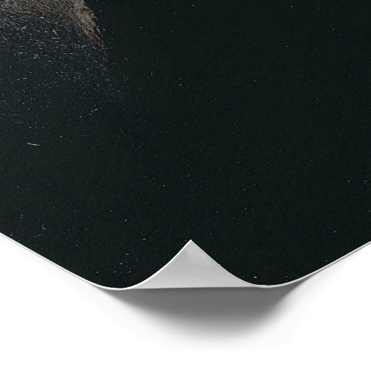 Rembrandt - Man in ARMOR Poster (Hoek)